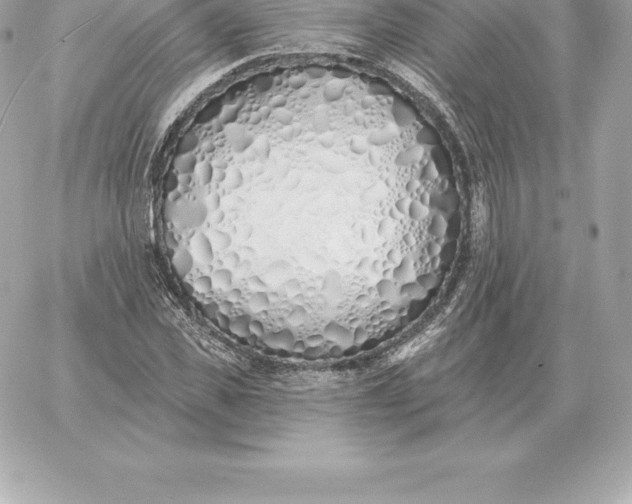 X0000060270925200511112043