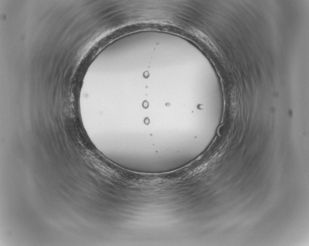 X0000060270926200511112043