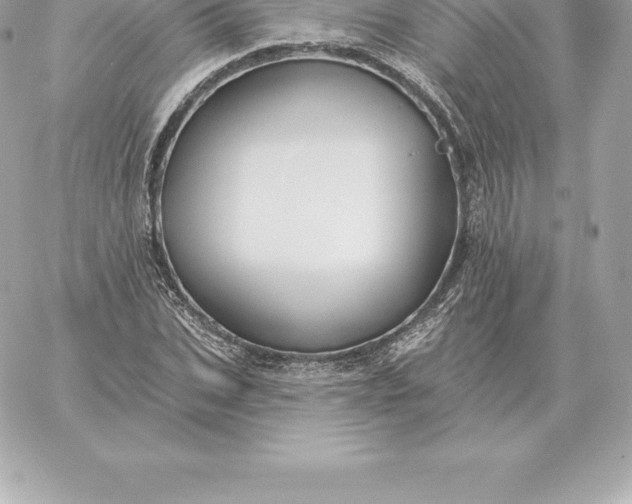 X0000060270927200511112043