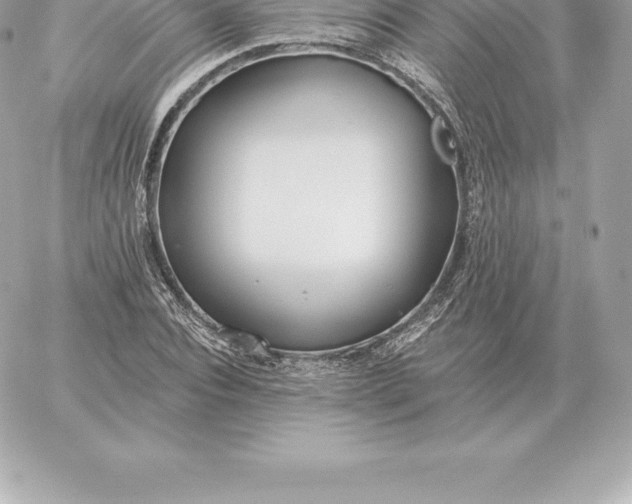 X0000060270928200511112043