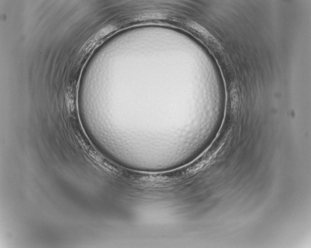 X0000060270929200511112043