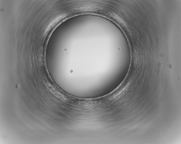 X0000060270930200511112043