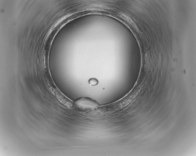 X0000060270931200511112043