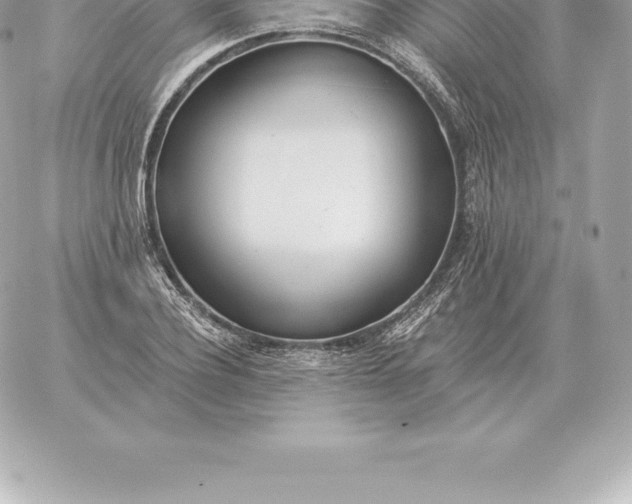 X0000060270932200511112043