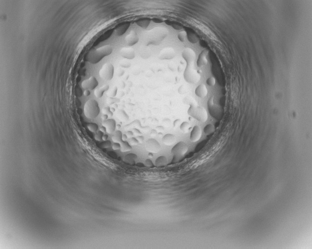 X0000060270933200511112043