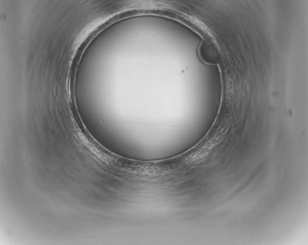 X0000060270935200511112043