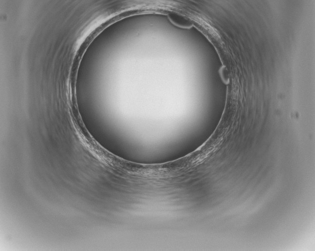 X0000060270936200511112043