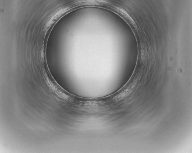 X0000060270938200511112043