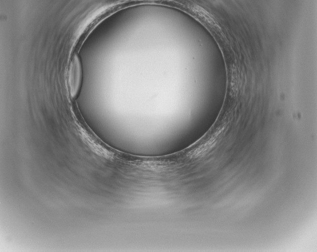 X0000060270942200511112043