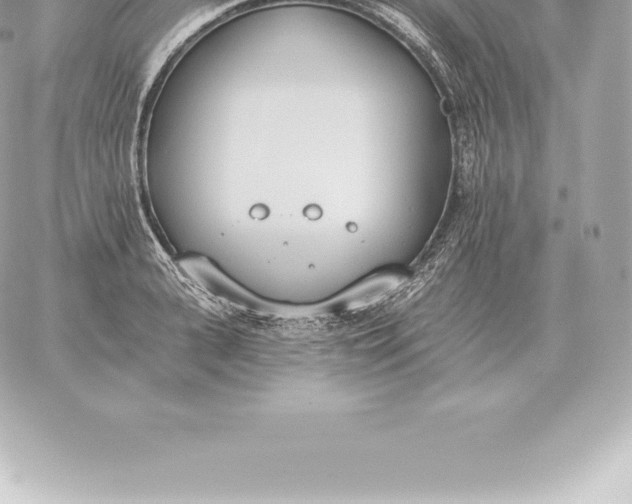 X0000060270943200511112043