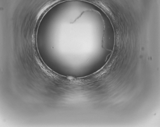 X0000060270944200511112043