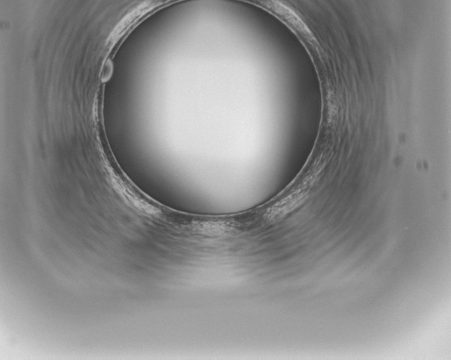 X0000060270946200511112043