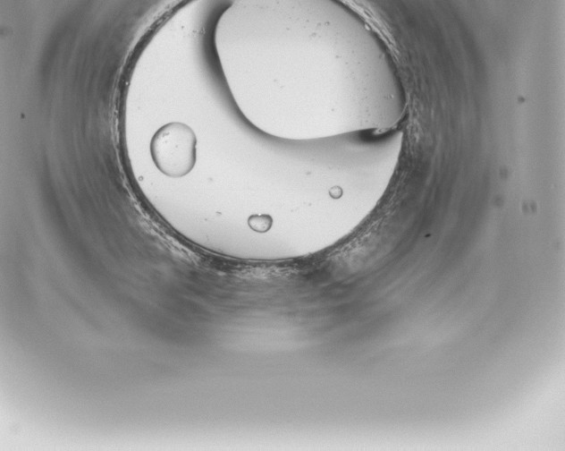 X0000060270950200511112043