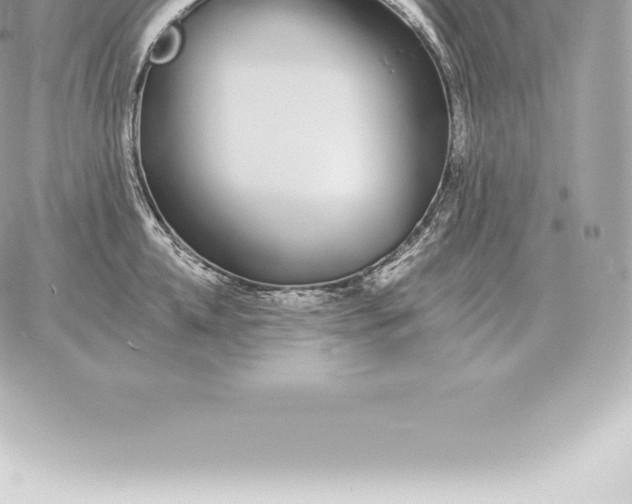 X0000060270952200511112043