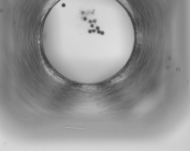 X0000060270954200511112043