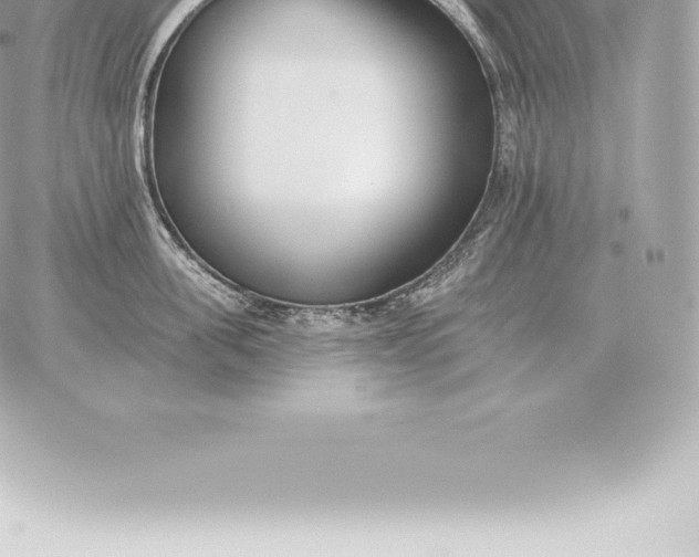 X0000060270955200511112044