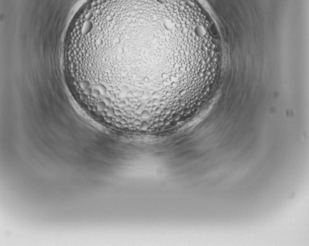 X0000060270957200511112044