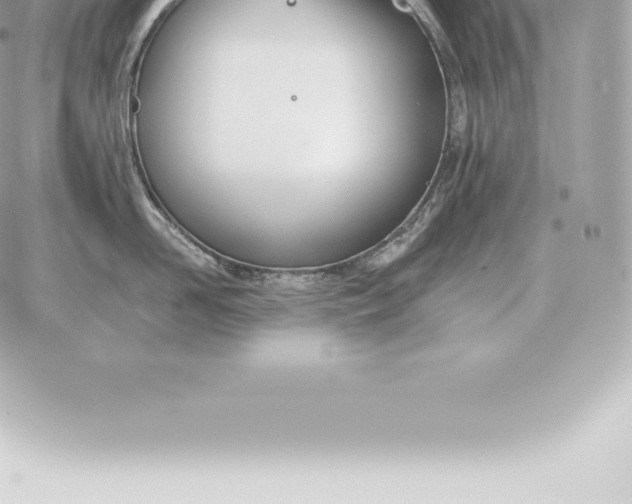 X0000060270958200511112044