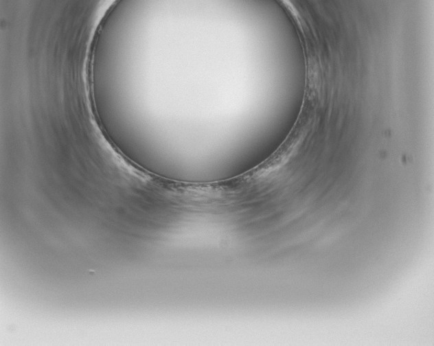 X0000060270959200511112044