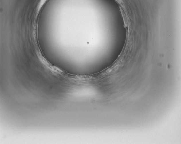 X0000060270960200511112044