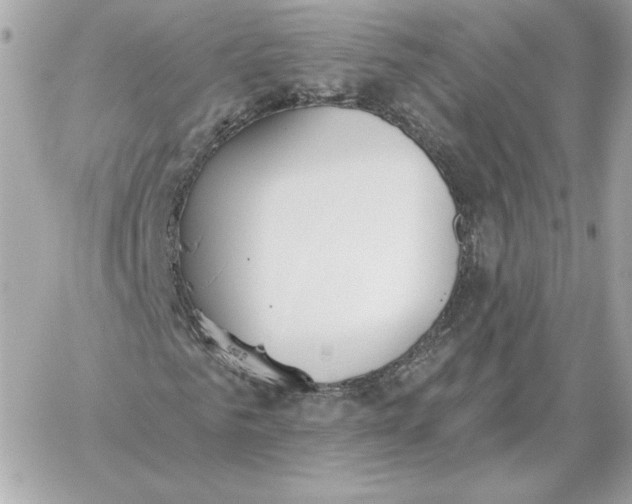 X0000060270961200511112043