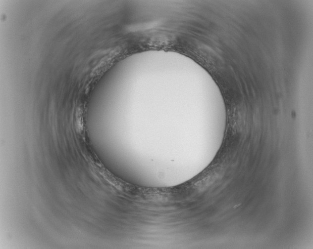 X0000060270962200511112043