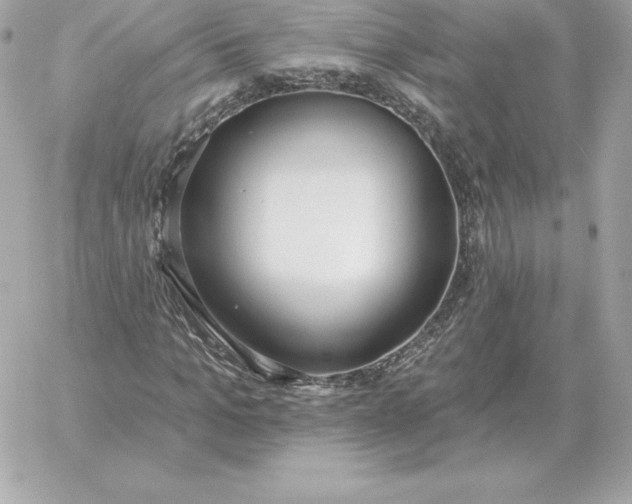 X0000060270965200511112043