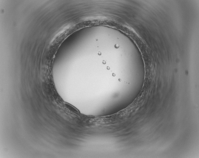 X0000060270967200511112043