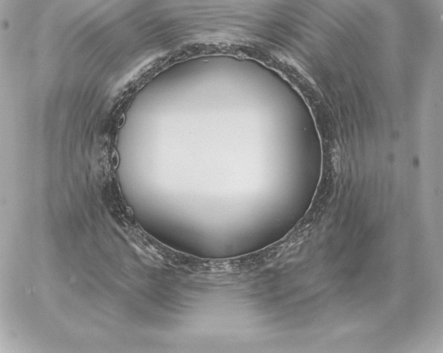 X0000060270968200511112043