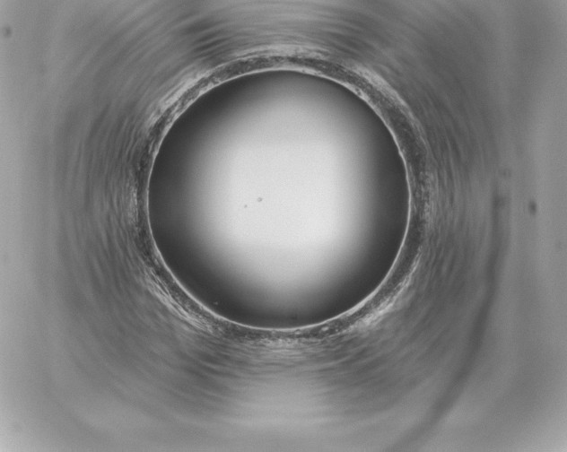 X0000060270969200511112043