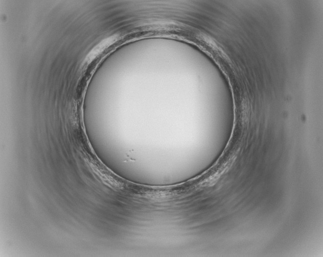 X0000060270970200511112043