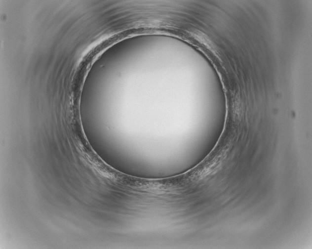 X0000060270971200511112043