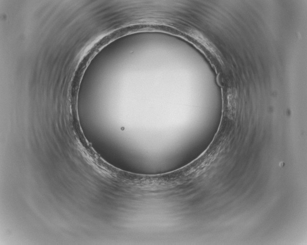 X0000060270972200511112043