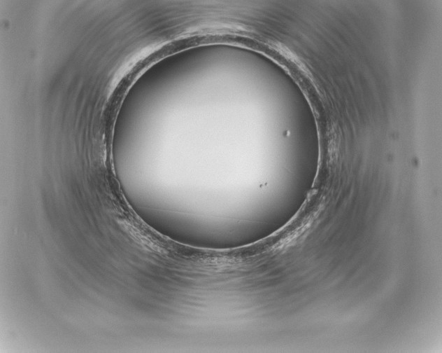 X0000060270973200511112043