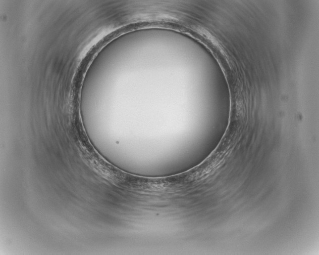 X0000060270975200511112043