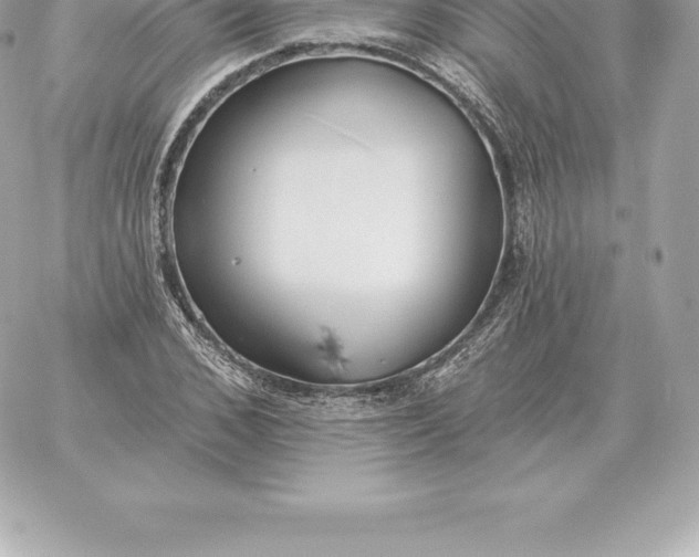 X0000060270976200511112043