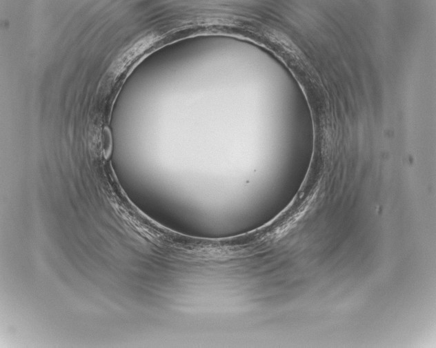 X0000060270977200511112043