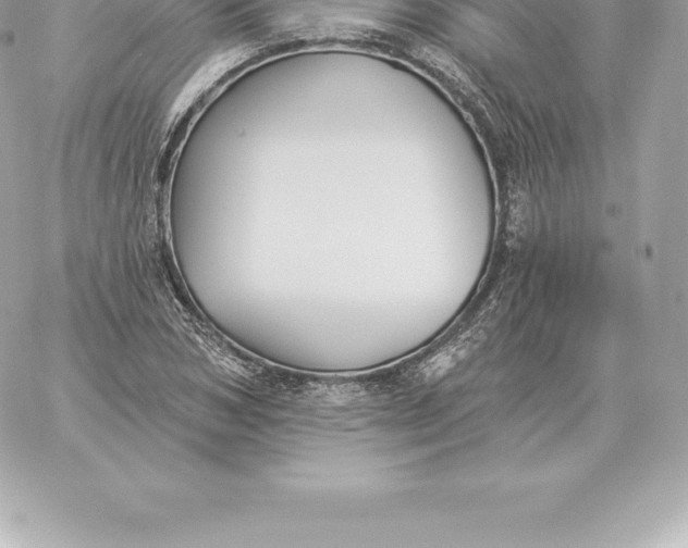 X0000060270978200511112043