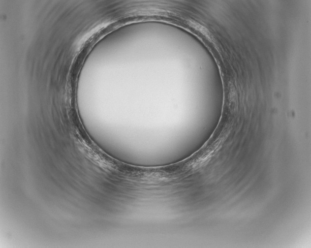 X0000060270979200511112042