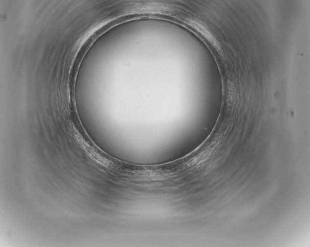 X0000060270980200511112042