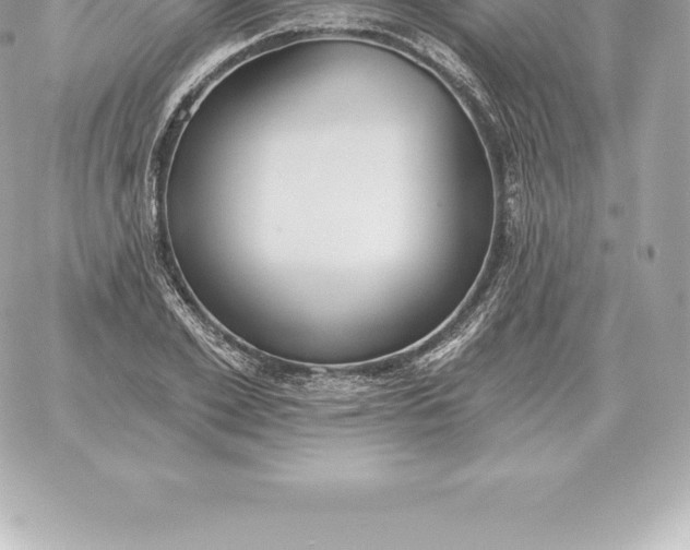 X0000060270981200511112042