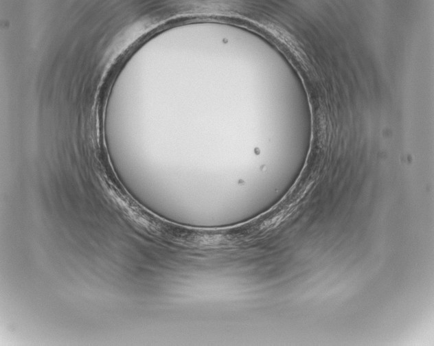 X0000060270982200511112042