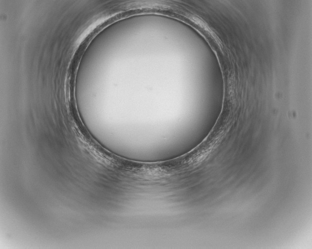 X0000060270983200511112042