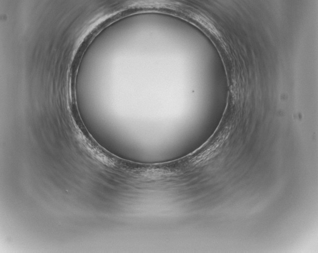 X0000060270984200511112042