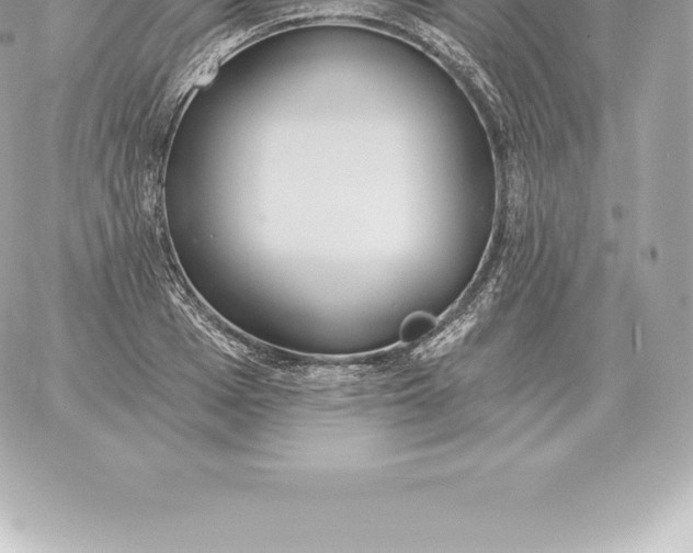 X0000060270985200511112042