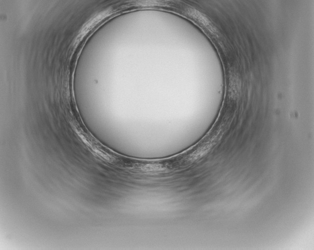 X0000060270986200511112042