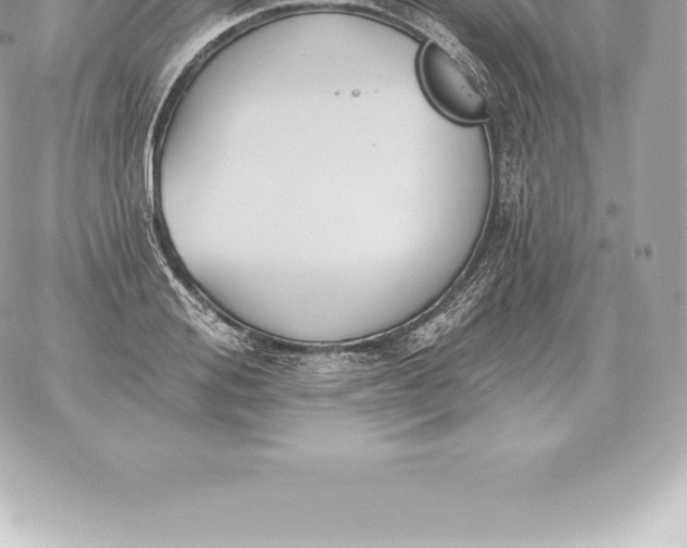 X0000060270988200511112042