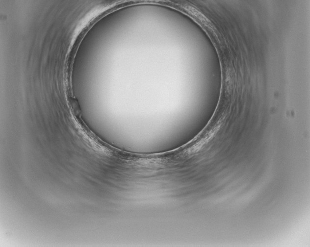 X0000060270989200511112042