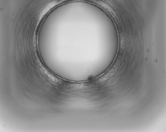 X0000060270990200511112042