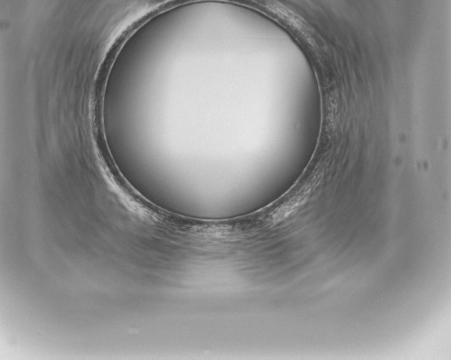 X0000060270991200511112042